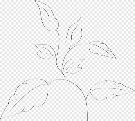 Листочки растений контур