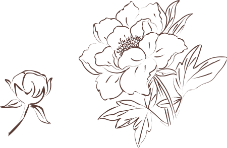 Цветы контур