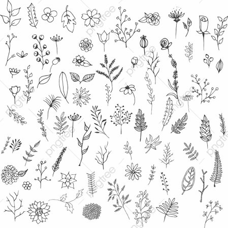 Зарисовки мелких растений