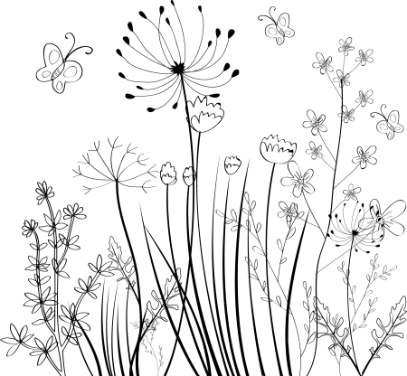 Полевые цветы Графика