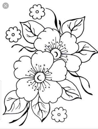 Контуры для рисования цветы