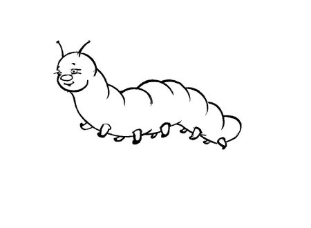 Гусеница раскраска для детей