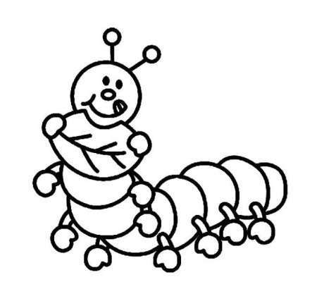 Насекомые. Раскраска