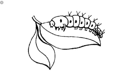 Гусеница листовертка раскраска