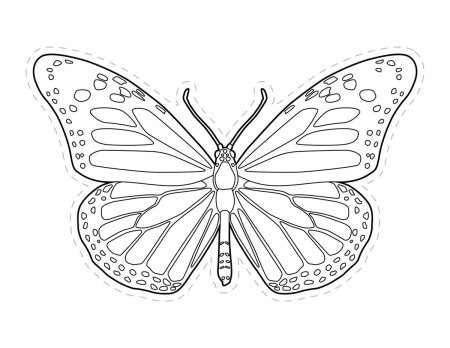 Бабочка раскраска трафарет