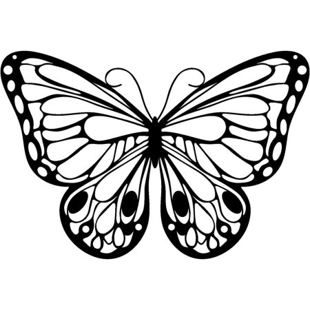 Контуры бабочек для декора