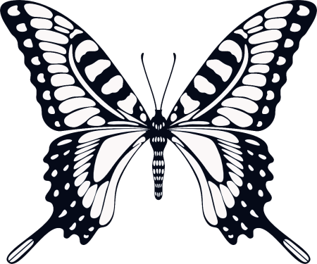 Бабочка рисунок