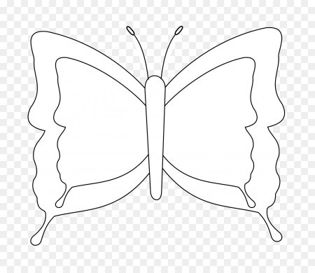 Контурные изображения