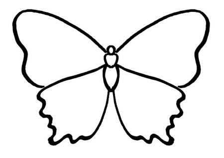 Бабочка контурный рисунок (48 фото)