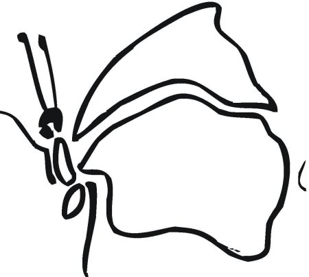 Бабочка контур для вырезания