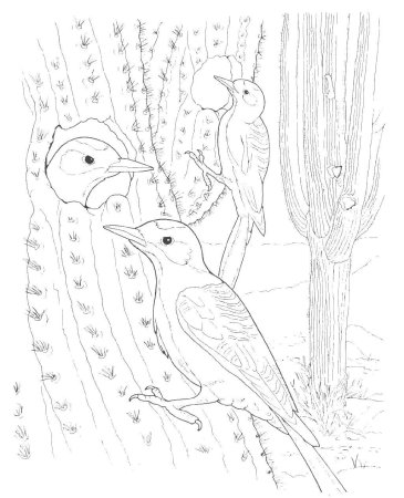 Дятел задания для детей