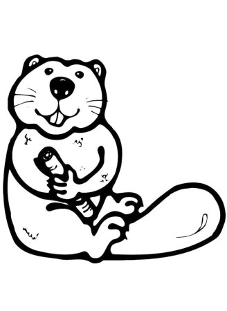 Бобер раскраска для детей