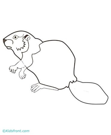 Рисунок бобра
