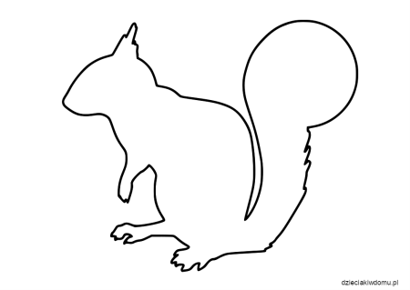 Шаблон белки