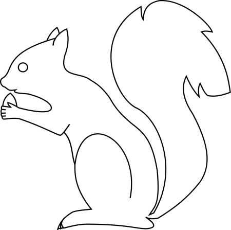 Белка раскраска