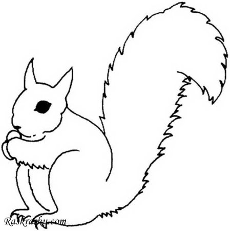 Трафарет белки