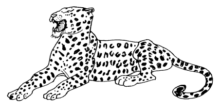 Раскраска леопард