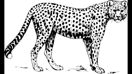 Переднеазиатский леопард