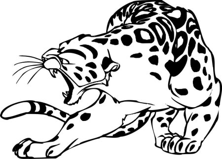 Раскраска леопард