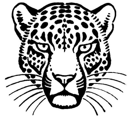 Гепард лайнарт