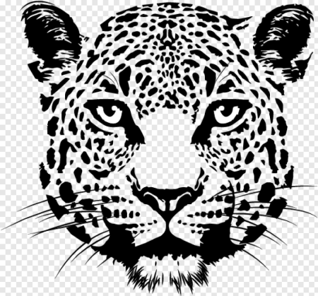 Снежный Барс Ирбис рисунок