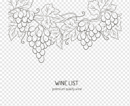 Виноградная лоза рисунок