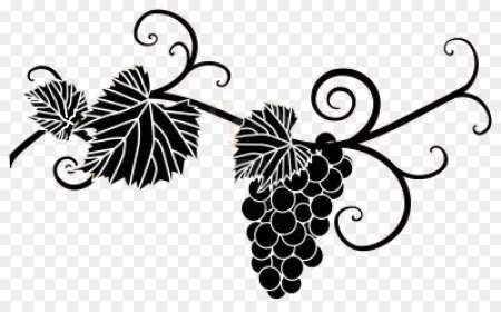 Виноград орнамент вектор
