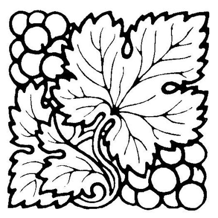 Виноградная лоза орнамент
