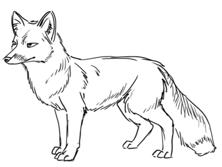 Лиса черно белая