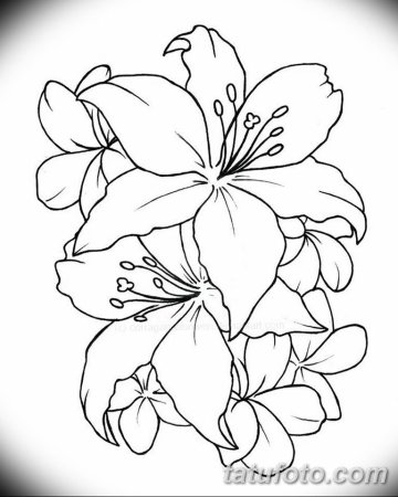 Трафареты цветов для батика