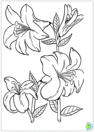 Трафареты цветов лилии