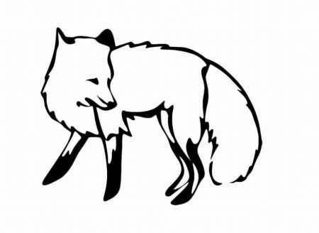 Лисица контур