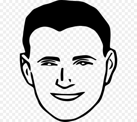 Очертания головы