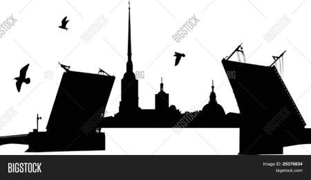 Петропавловская крепость контур
