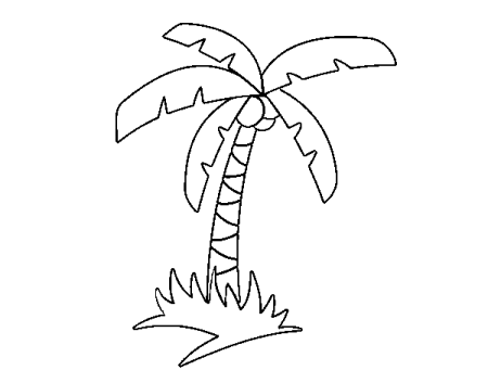 Маленькая Пальма раскраска