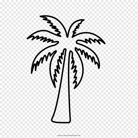 Пальма контур