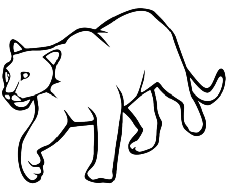 Раскраска пантера