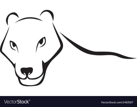 Контур головы пантеры