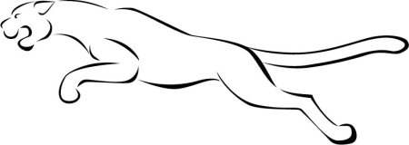 Пантера контур