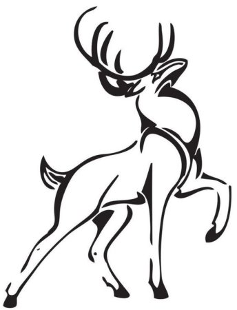 Контуры животных олень