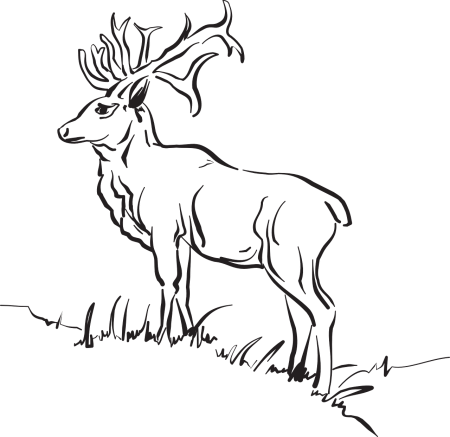 Трафарет оленя для вырезания