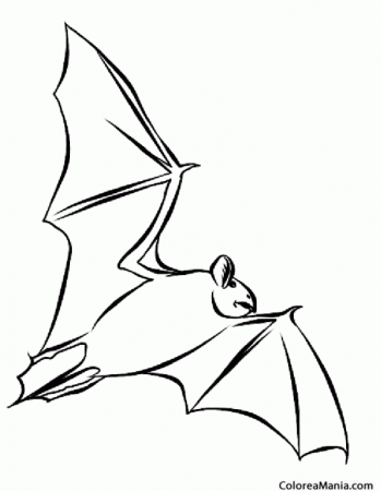 Летучая мышь рисунок на Хэллоуин раскраска
