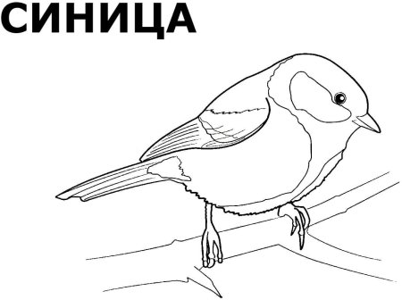 Воробей раскраска