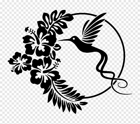 Векторные изображения птиц