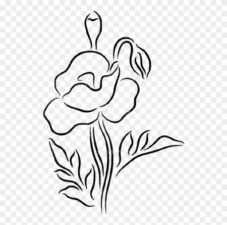 Цветы с контуром очертаний