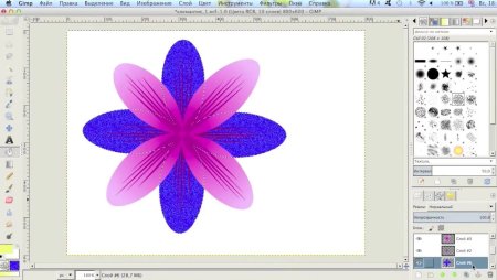 Цветы gimp