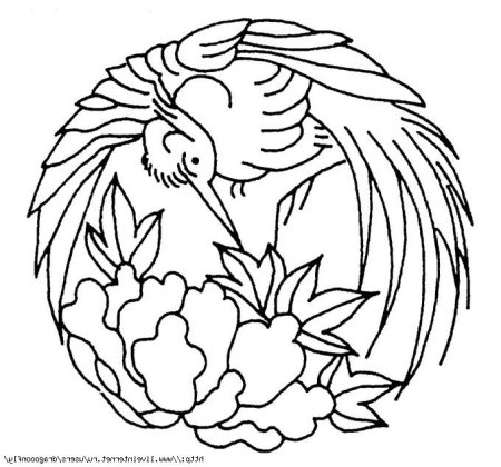 Контурные рисунки