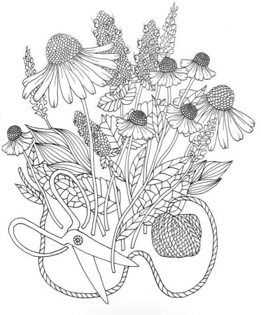 Раскраска Ботаникум Мария тролле