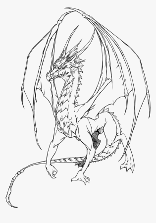 Контуры драконов