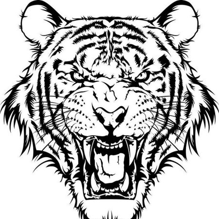 Тигр трафарет